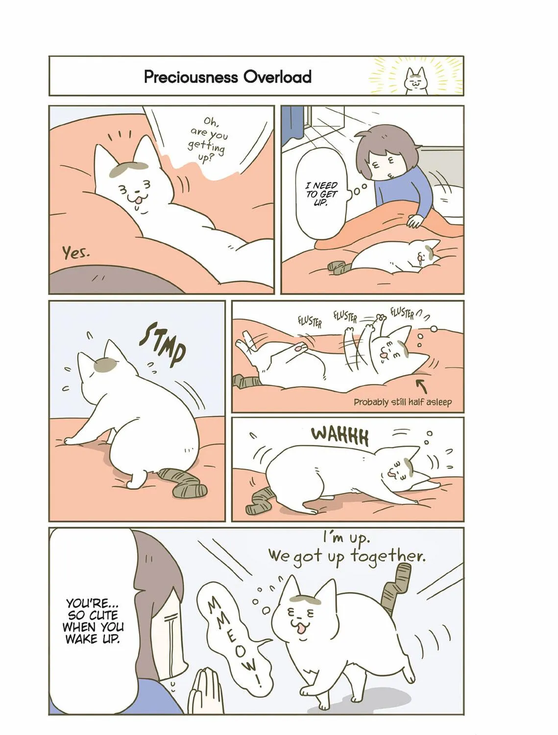 My Cat is Such a Weirdo Chapter 39 page 5 - 