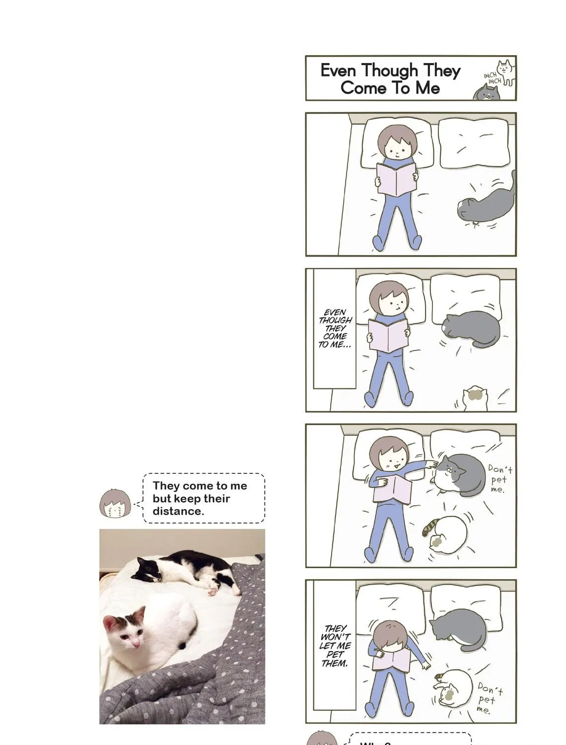 My Cat is Such a Weirdo Chapter 4 page 11 - 