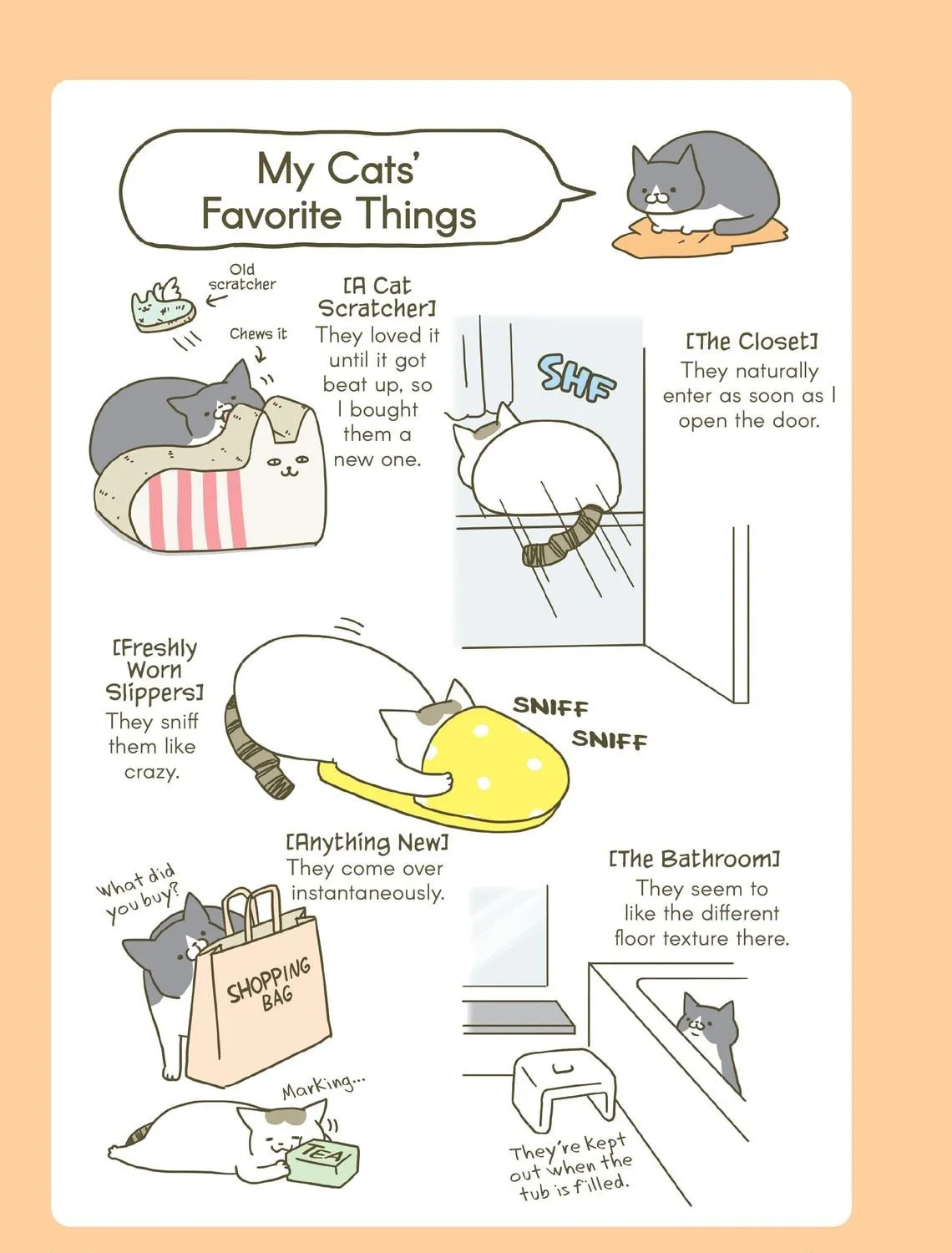 My Cat is Such a Weirdo Chapter 4 page 17 - 