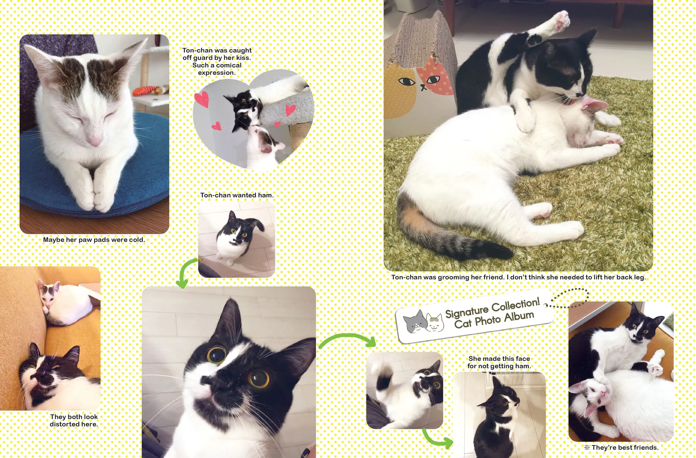 My Cat is Such a Weirdo Chapter 4 page 31 - 