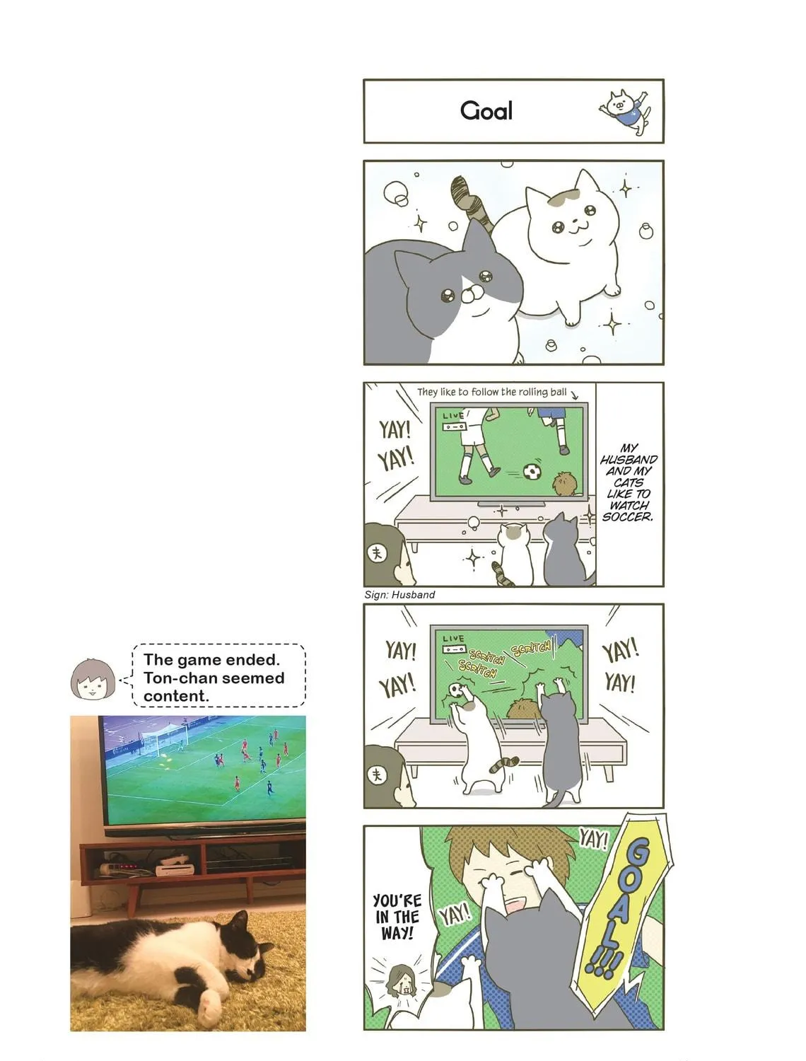 My Cat is Such a Weirdo Chapter 4 page 35 - 