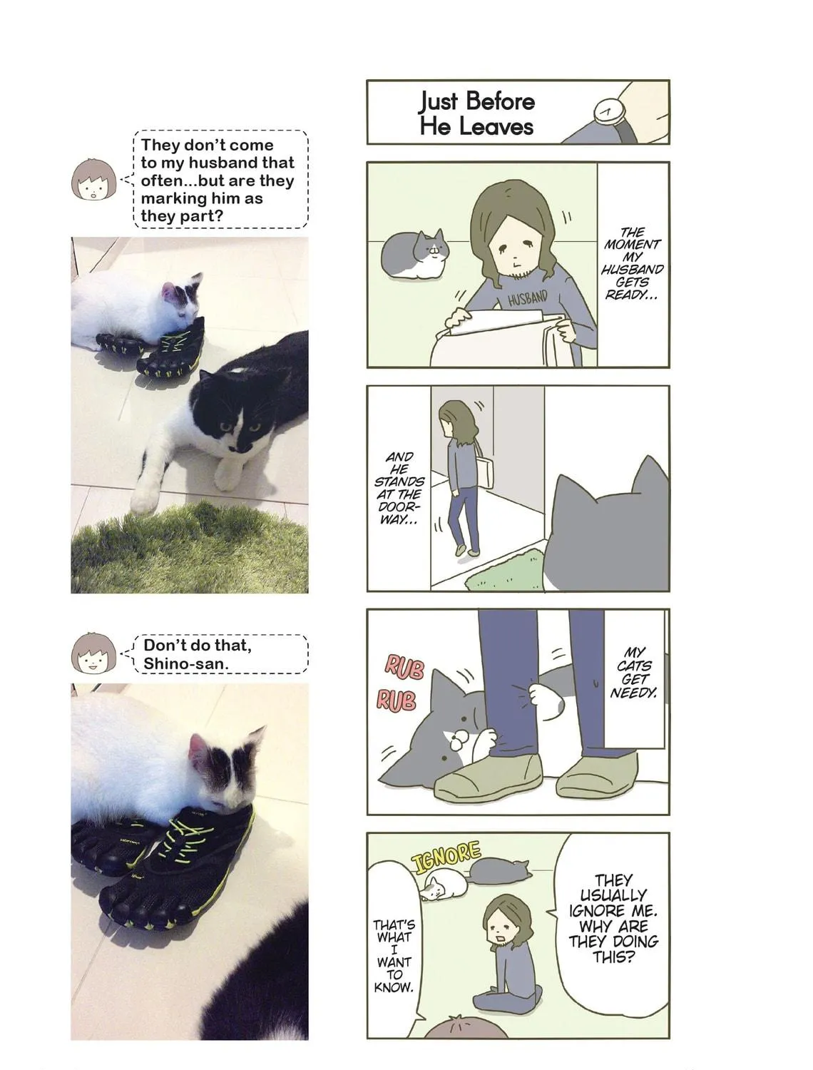 My Cat is Such a Weirdo Chapter 4 page 39 - 