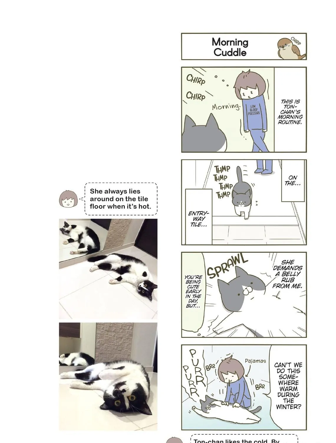 My Cat is Such a Weirdo Chapter 4 page 41 - 
