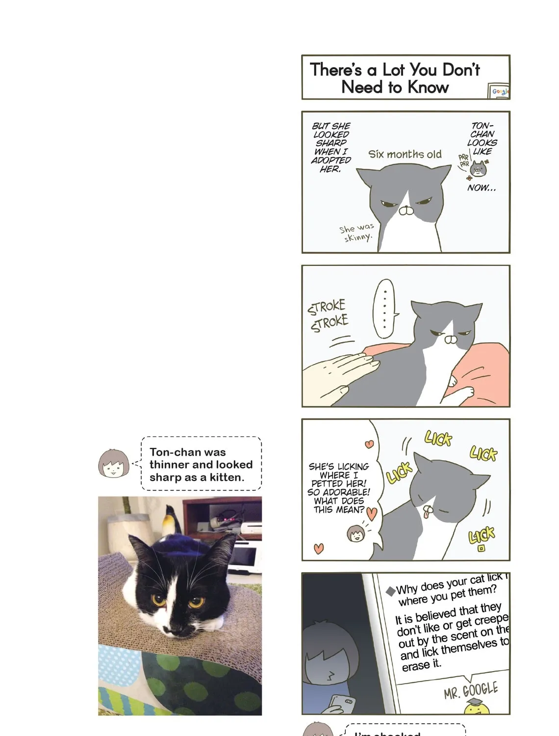 My Cat is Such a Weirdo Chapter 4 page 7 - 