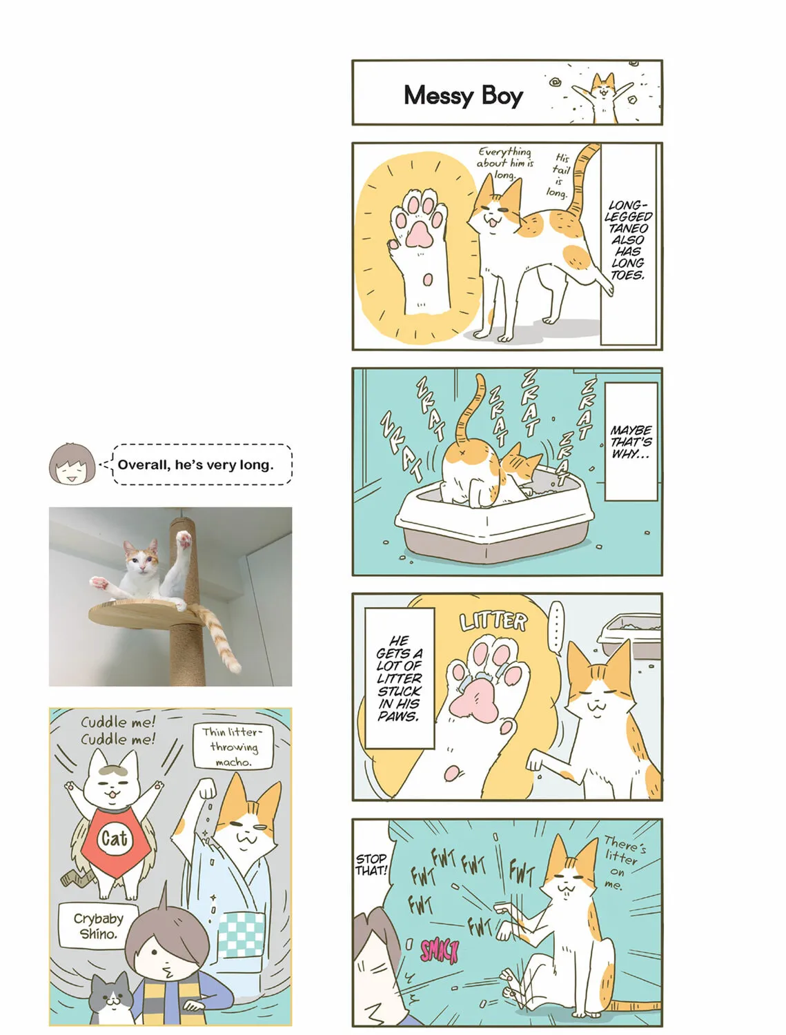 My Cat is Such a Weirdo Chapter 40 page 13 - 