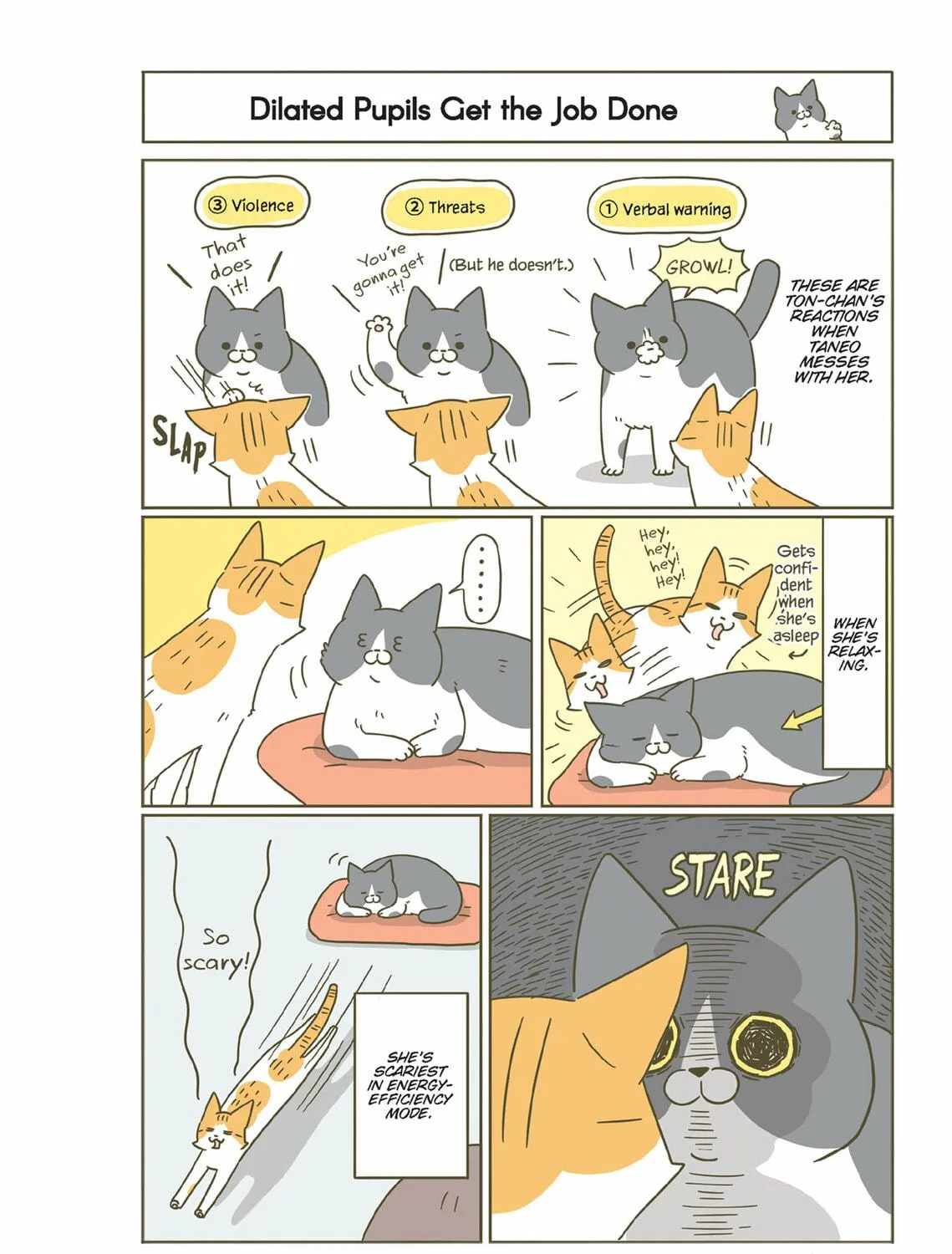 My Cat is Such a Weirdo Chapter 40 page 17 - 