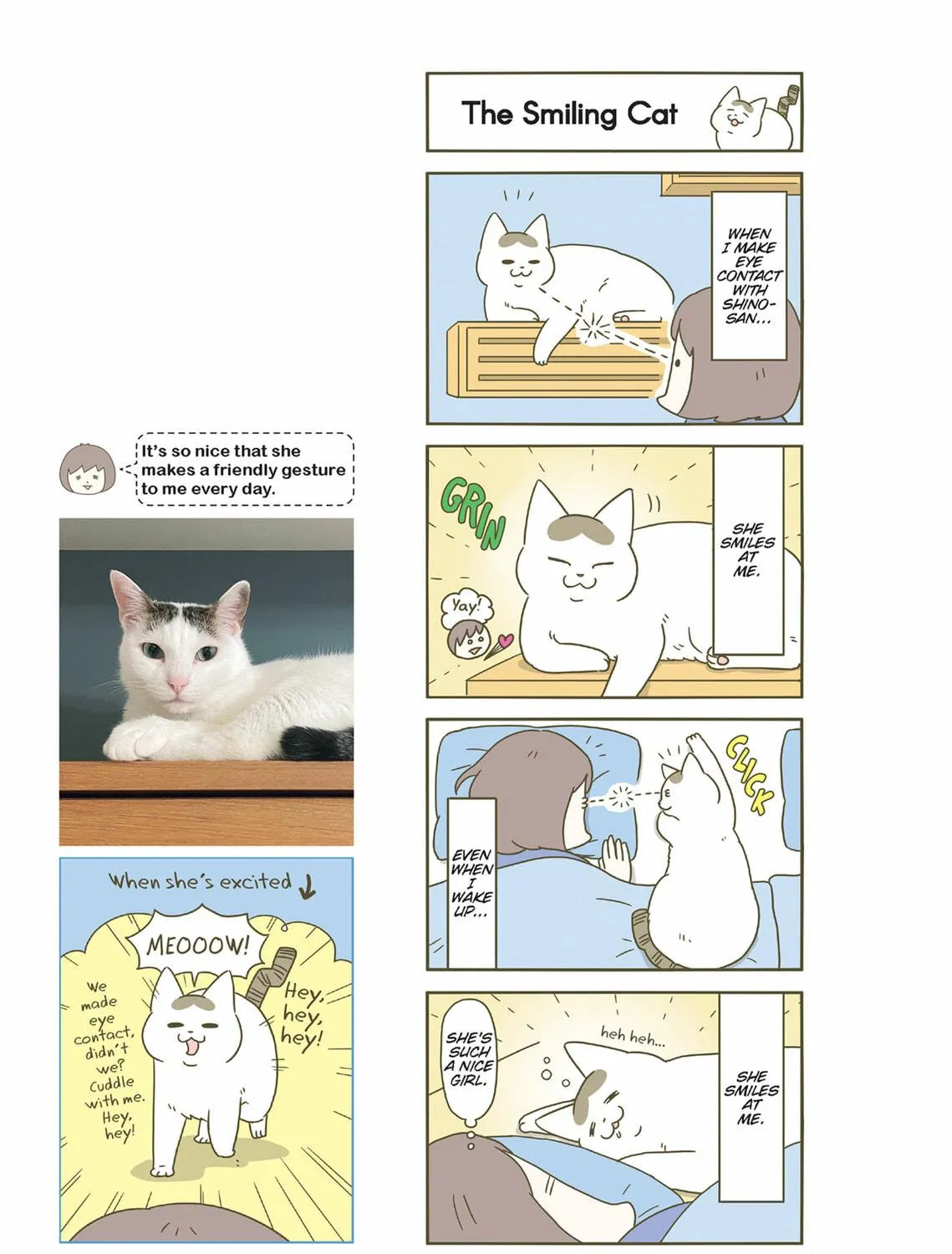 My Cat is Such a Weirdo Chapter 40 page 19 - 