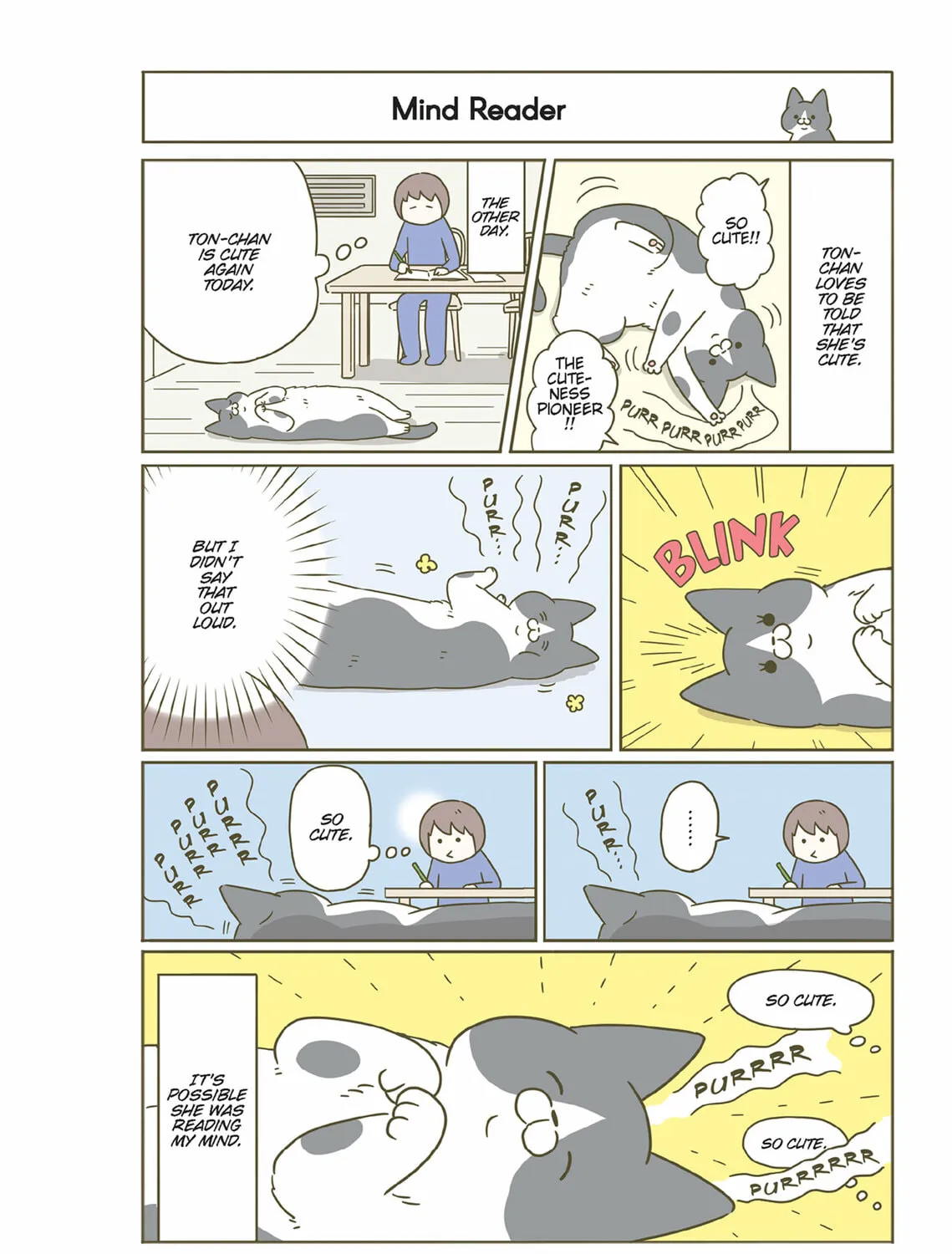 My Cat is Such a Weirdo Chapter 40 page 3 - 