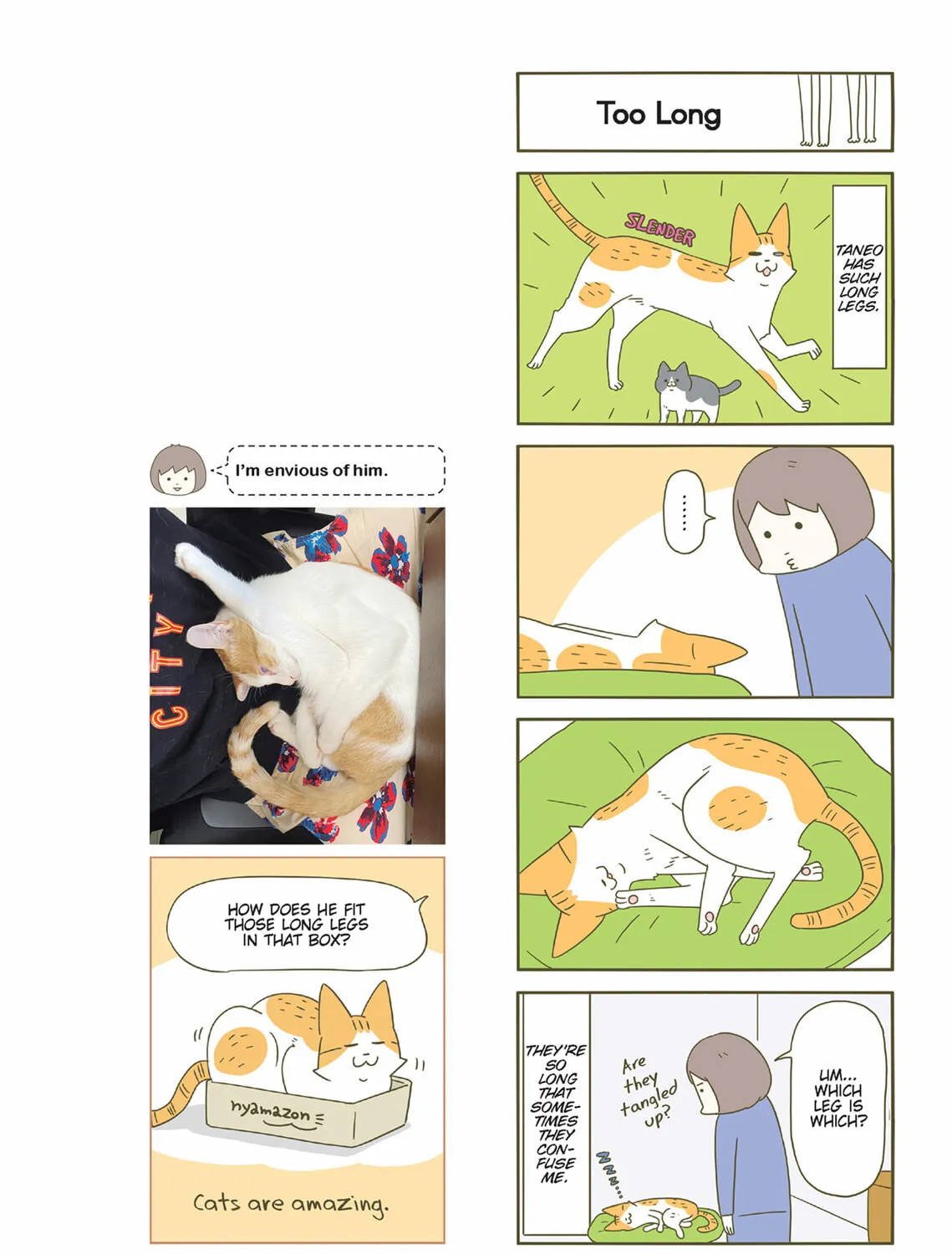 My Cat is Such a Weirdo Chapter 40 page 21 - 