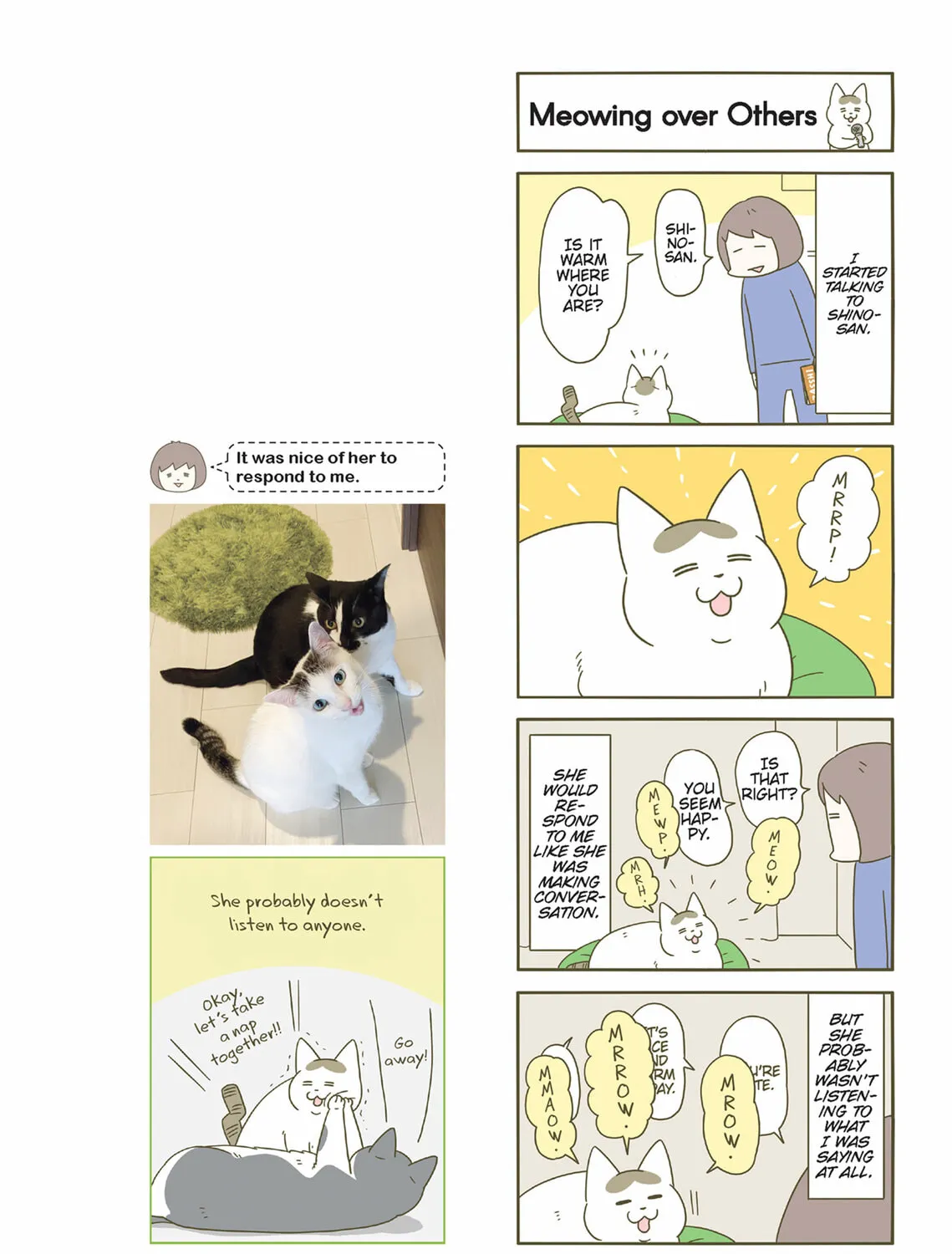 My Cat is Such a Weirdo Chapter 40 page 25 - 