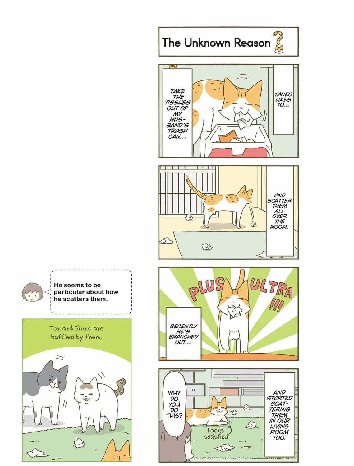 My Cat is Such a Weirdo Chapter 40 page 27 - 