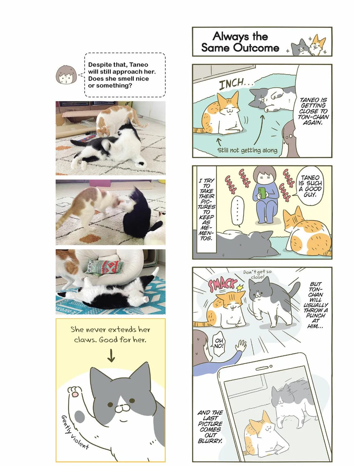 My Cat is Such a Weirdo Chapter 40 page 29 - 