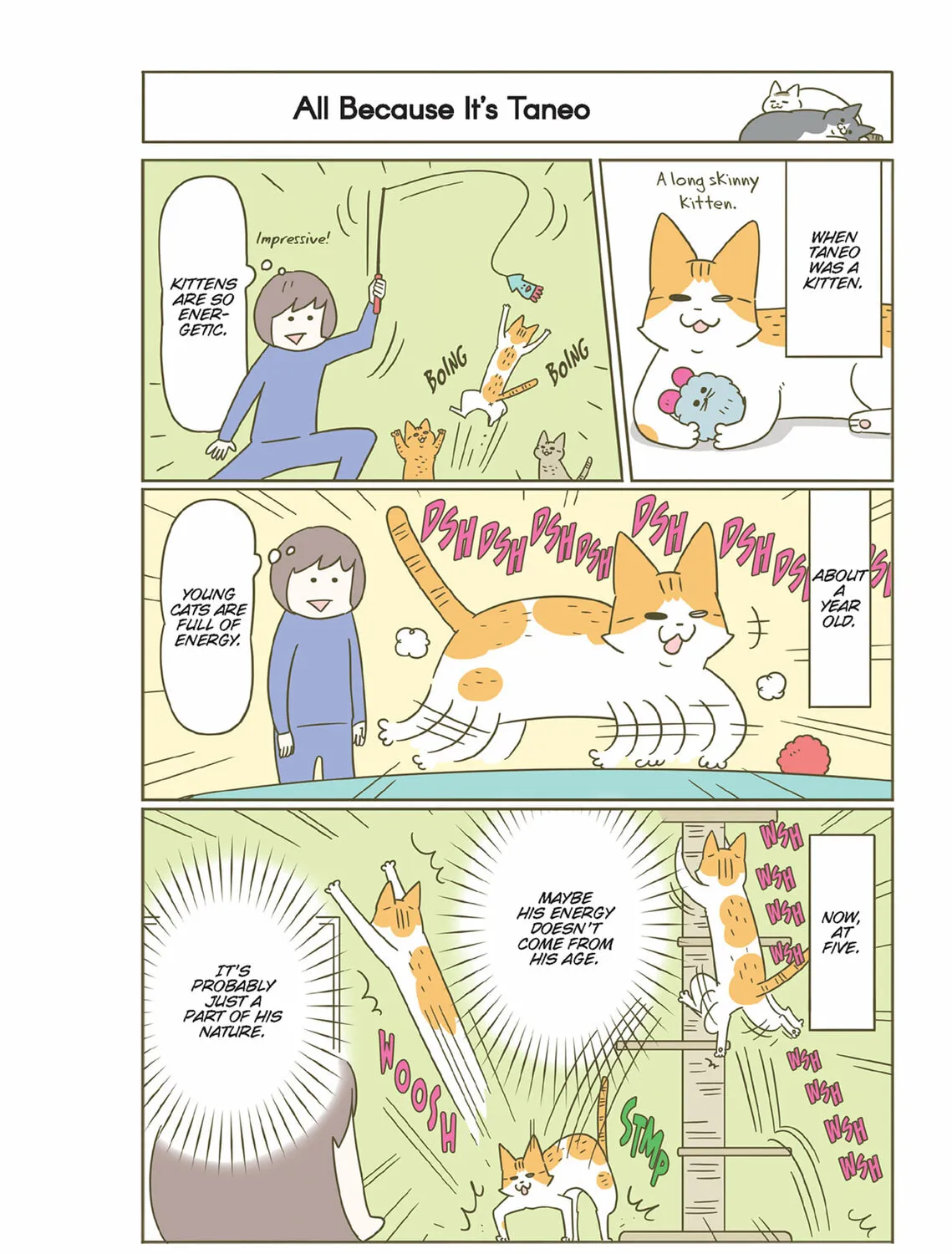 My Cat is Such a Weirdo Chapter 40 page 7 - 