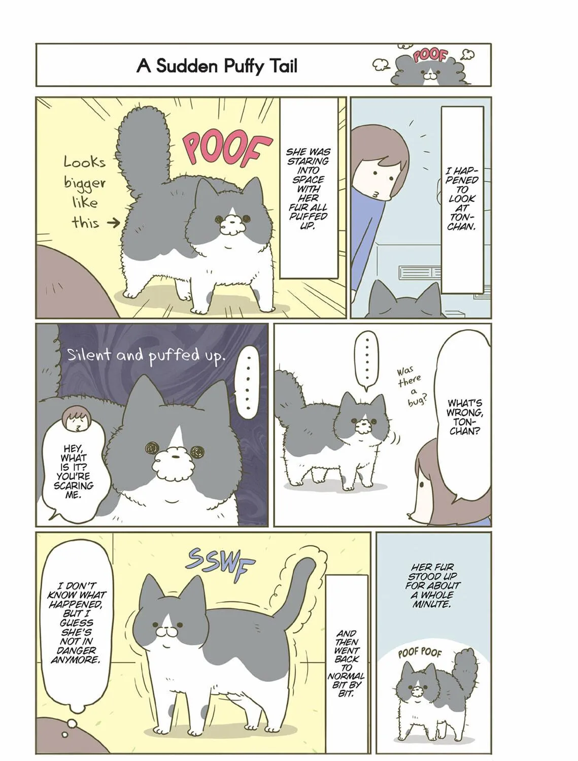 My Cat is Such a Weirdo Chapter 40 page 9 - 