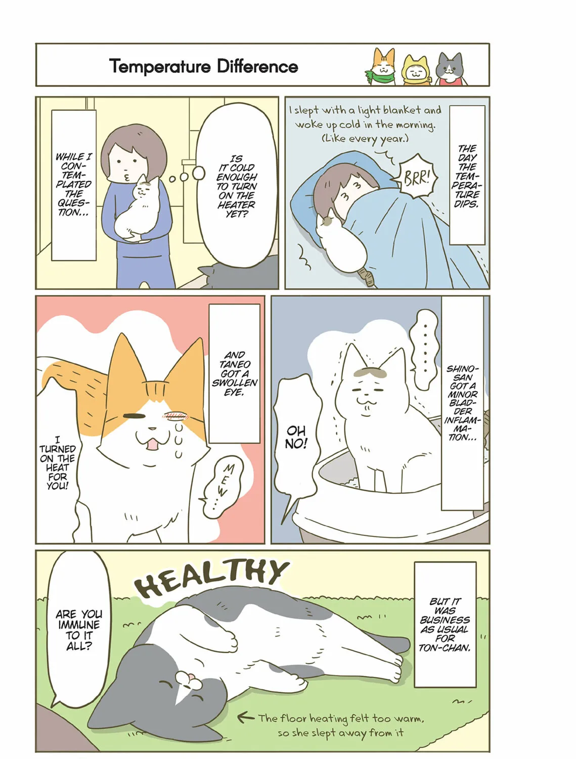 My Cat is Such a Weirdo Chapter 41 page 13 - 