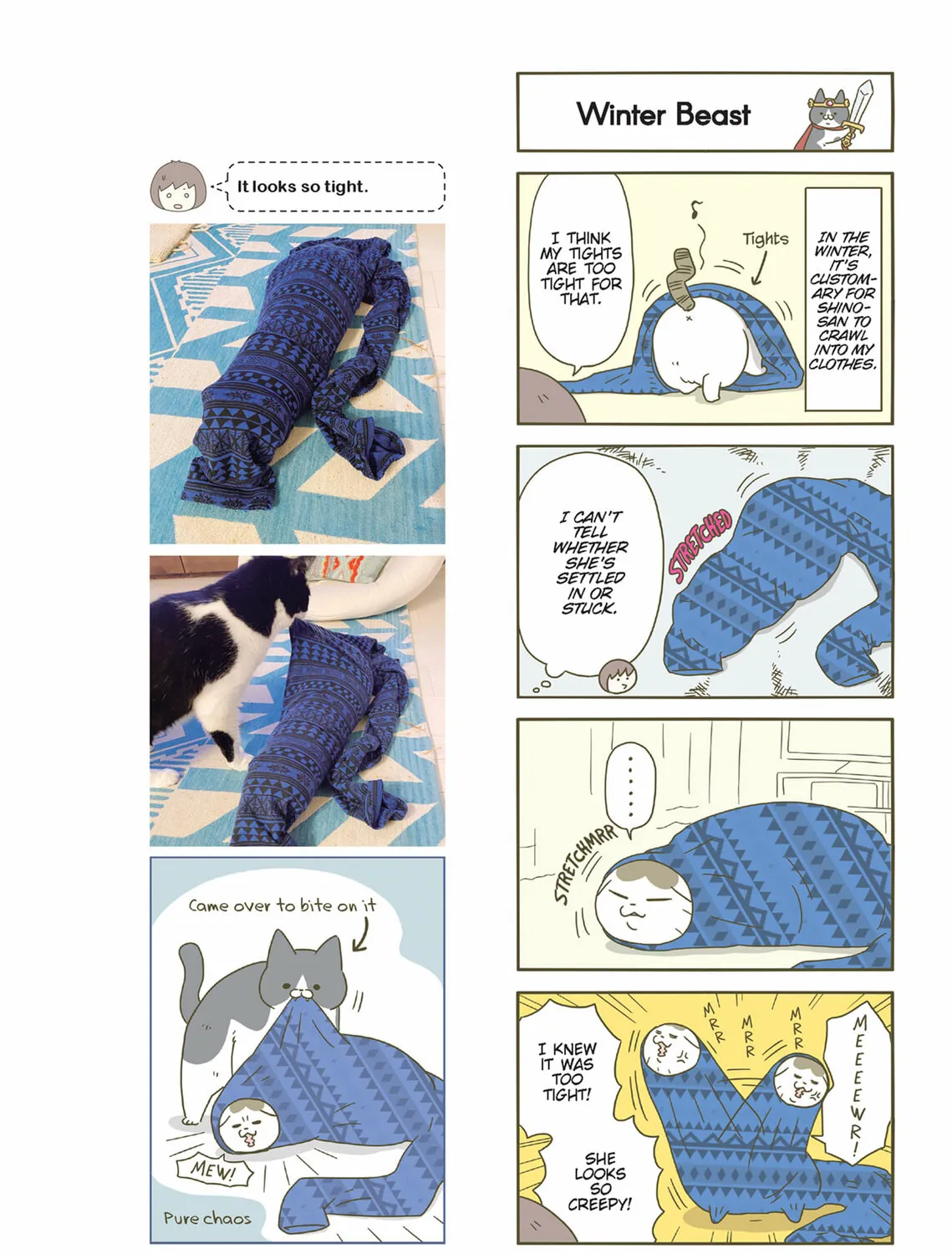 My Cat is Such a Weirdo Chapter 41 page 15 - 