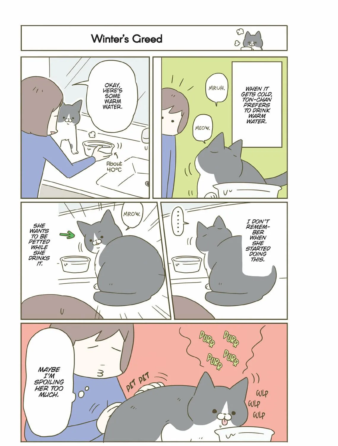 My Cat is Such a Weirdo Chapter 41 page 17 - 