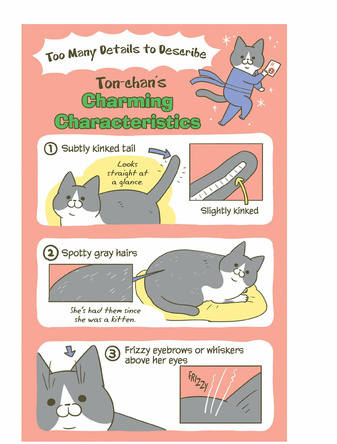 My Cat is Such a Weirdo Chapter 41 page 25 - 