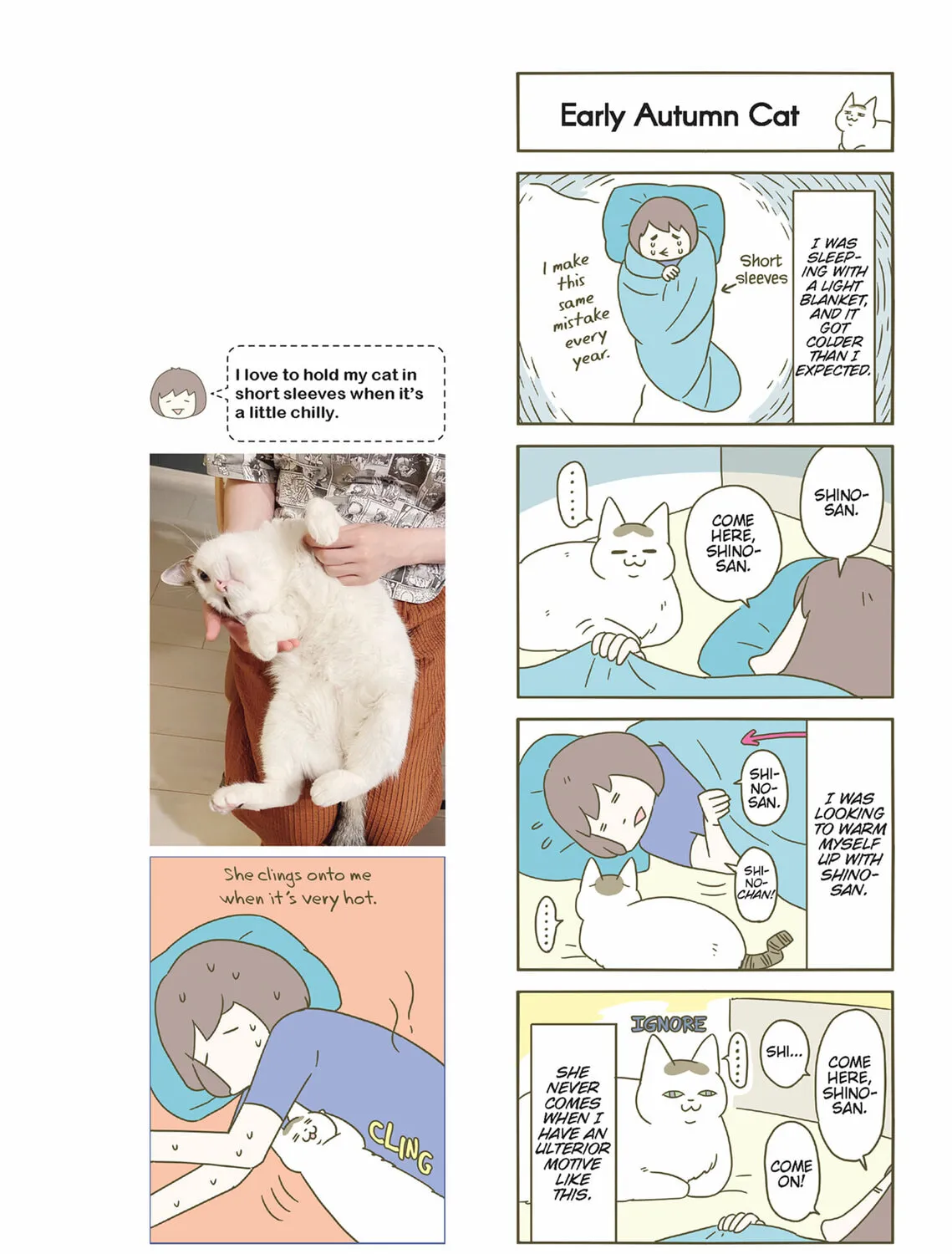 My Cat is Such a Weirdo Chapter 41 page 7 - 