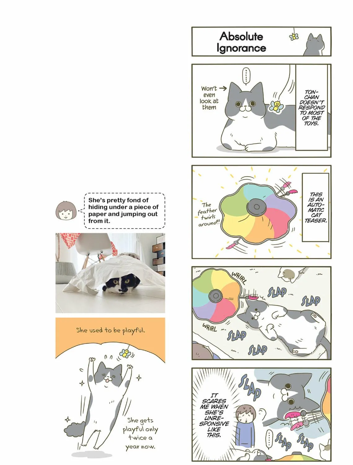 My Cat is Such a Weirdo Chapter 42 page 11 - 