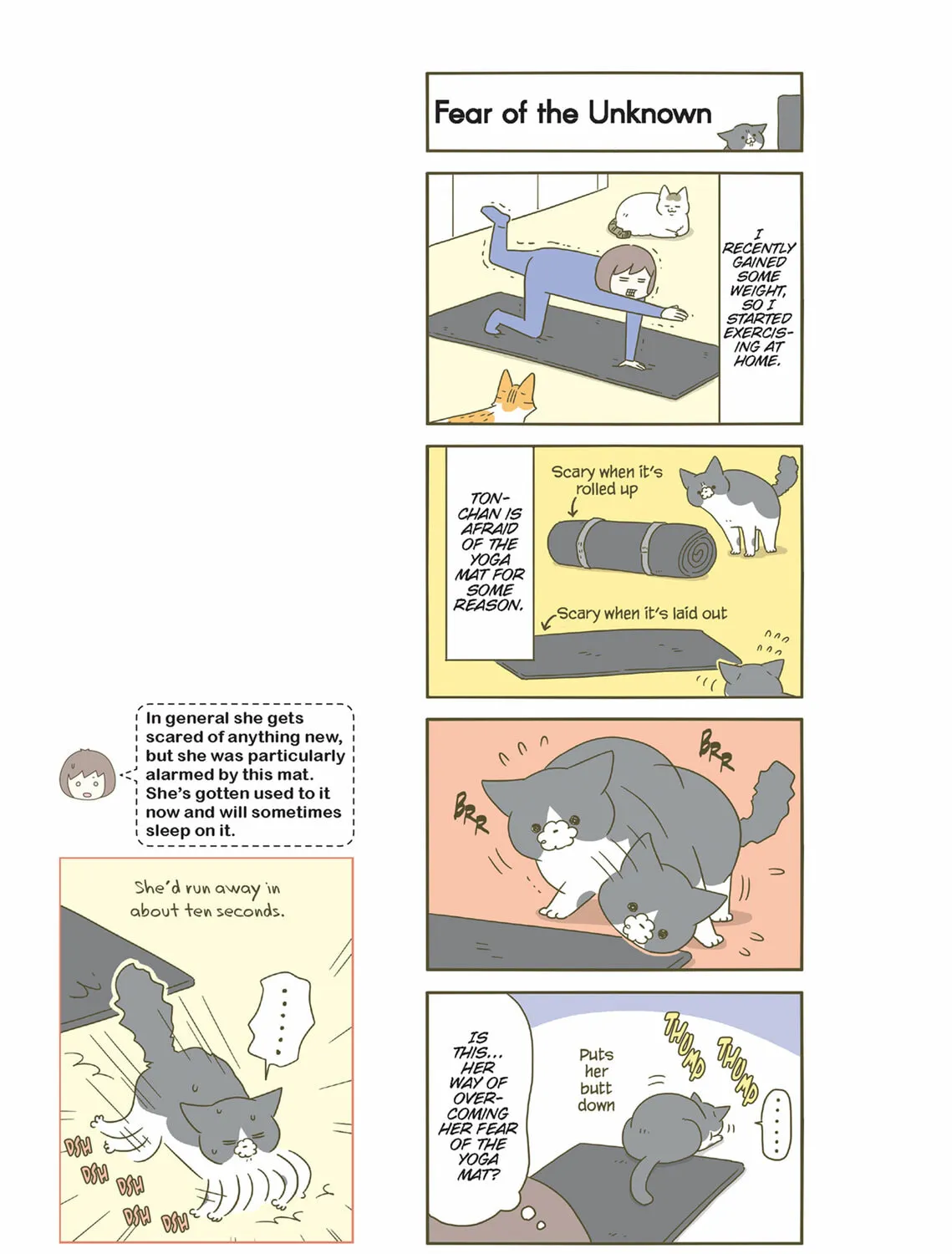 My Cat is Such a Weirdo Chapter 42 page 13 - 