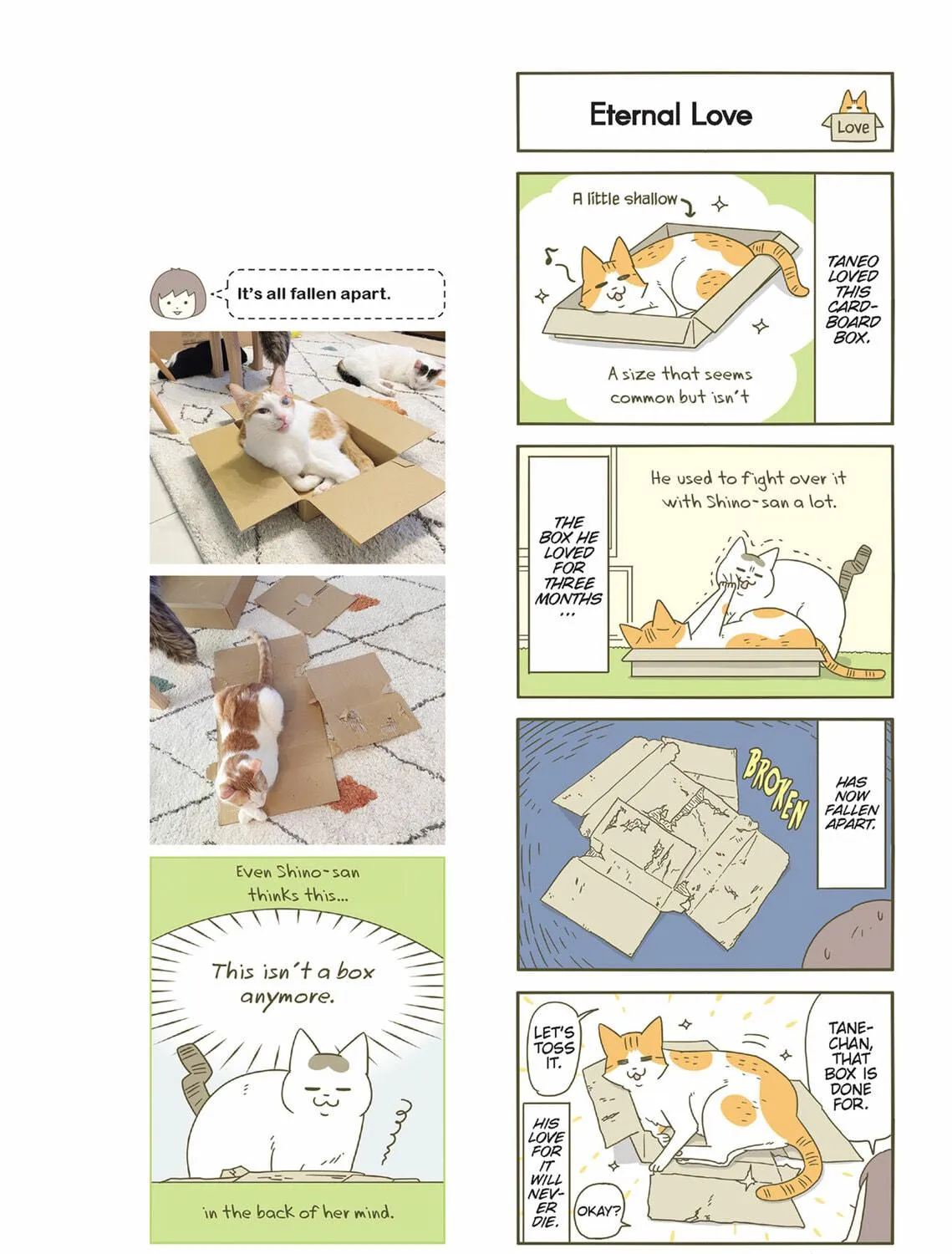 My Cat is Such a Weirdo Chapter 42 page 19 - 