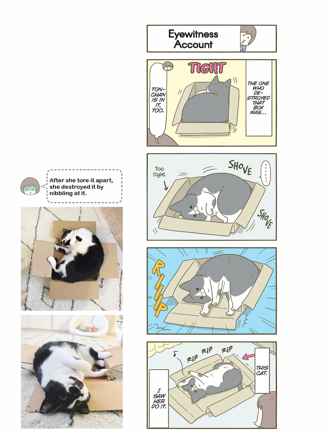 My Cat is Such a Weirdo Chapter 42 page 21 - 