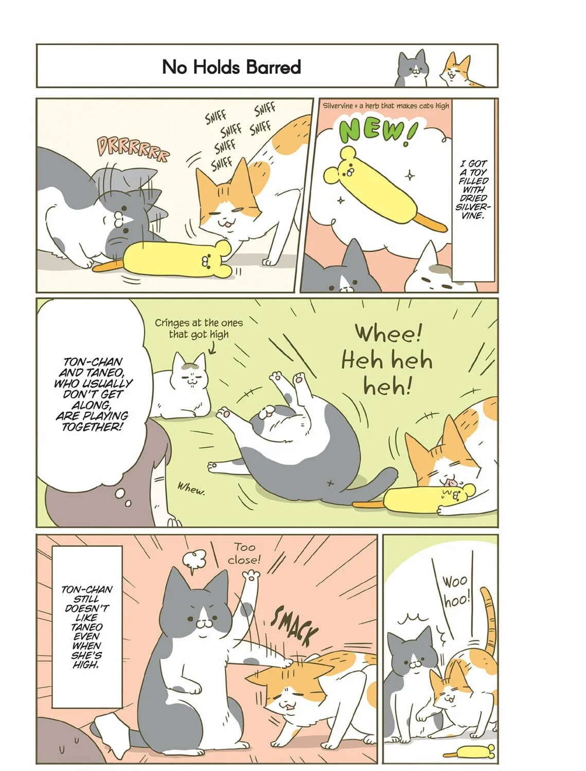 My Cat is Such a Weirdo Chapter 42 page 9 - 
