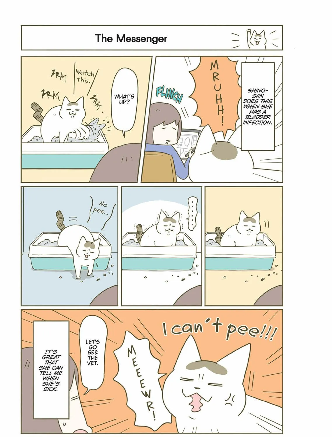 My Cat is Such a Weirdo Chapter 43 page 17 - 