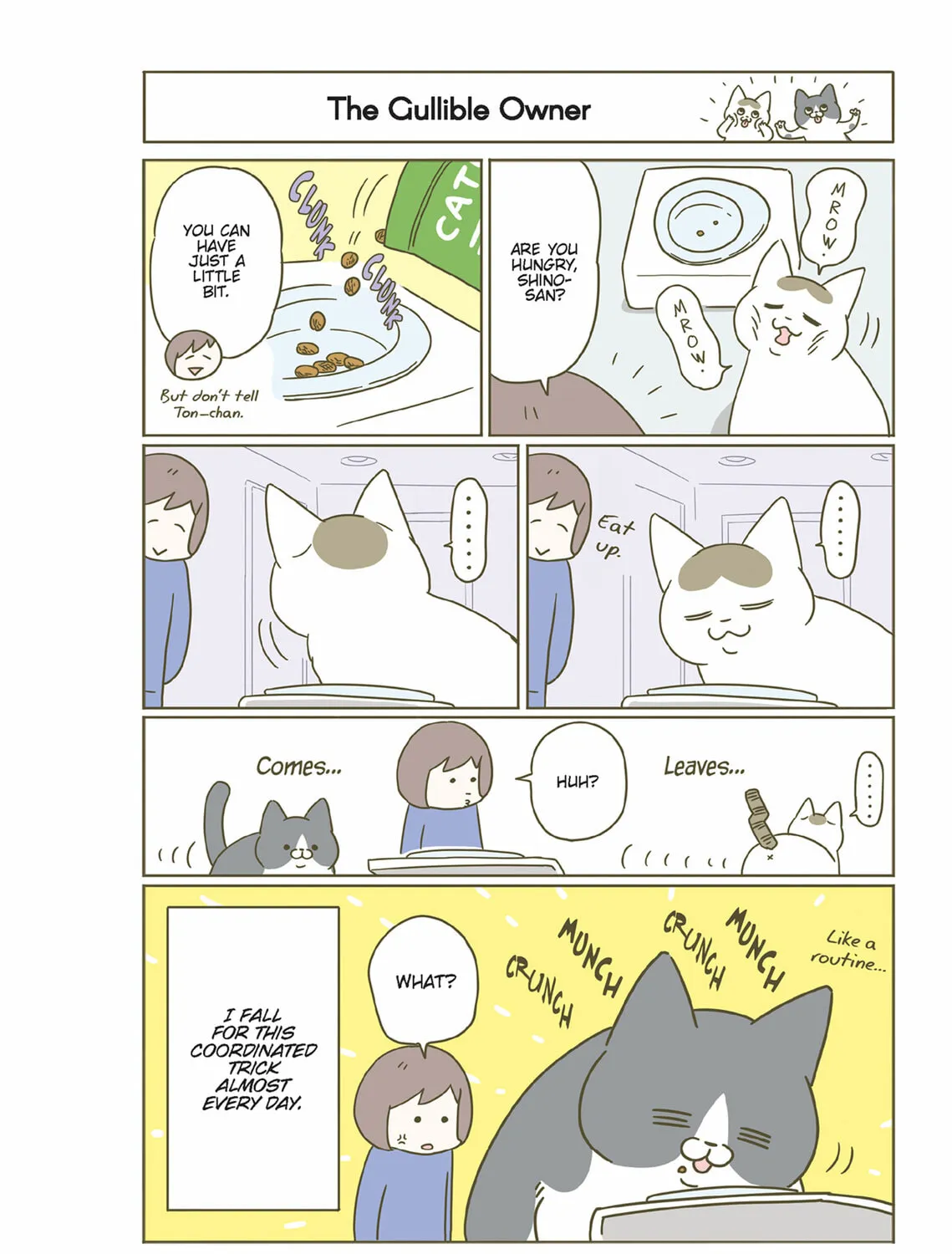 My Cat is Such a Weirdo Chapter 43 page 3 - 