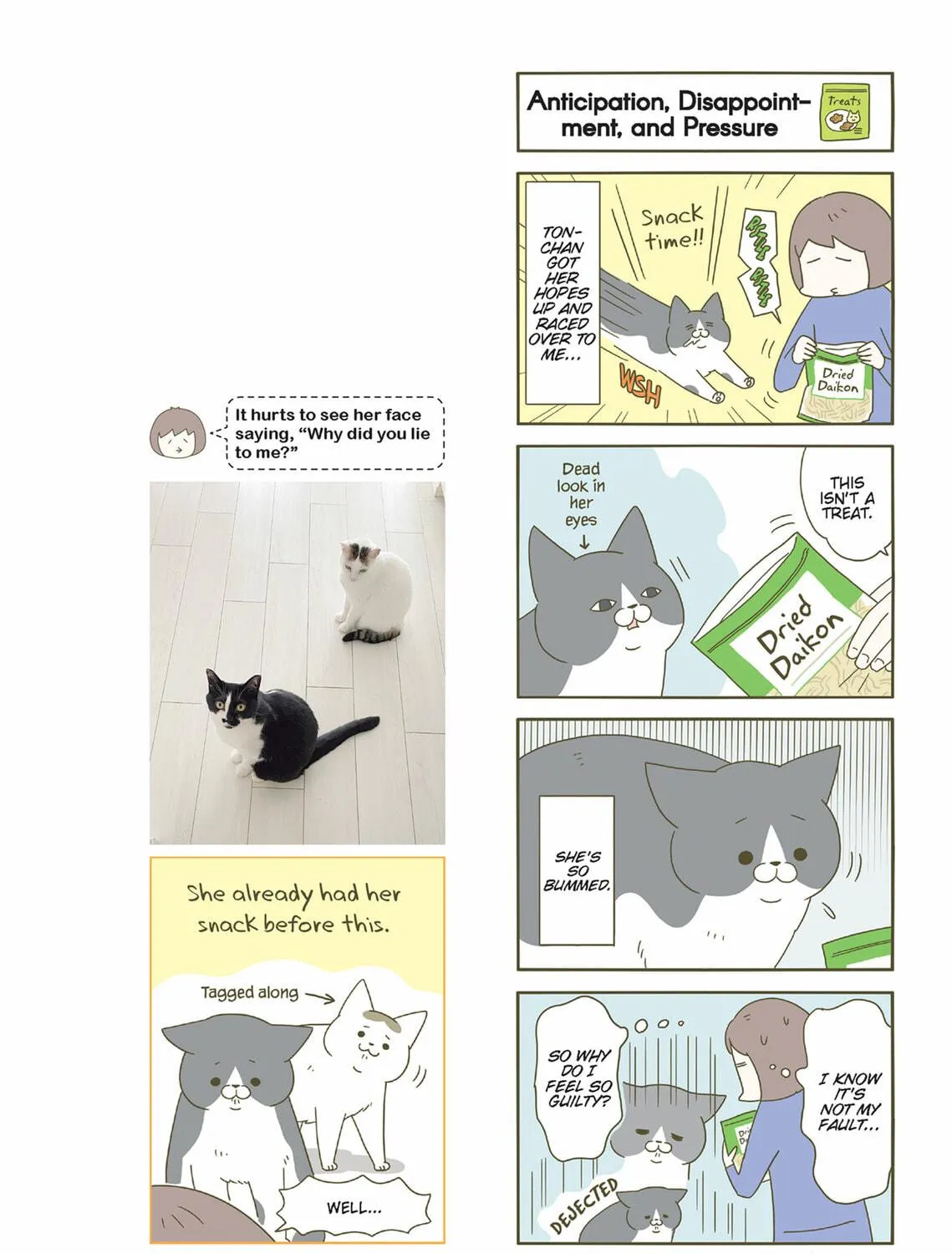 My Cat is Such a Weirdo Chapter 43 page 23 - 