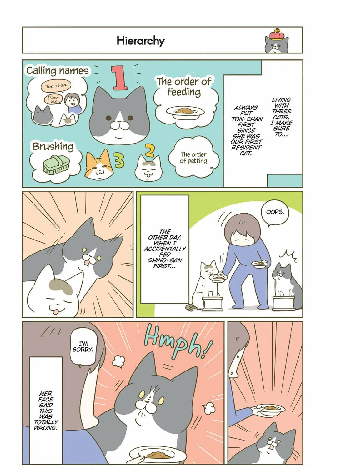 My Cat is Such a Weirdo Chapter 43 page 5 - 