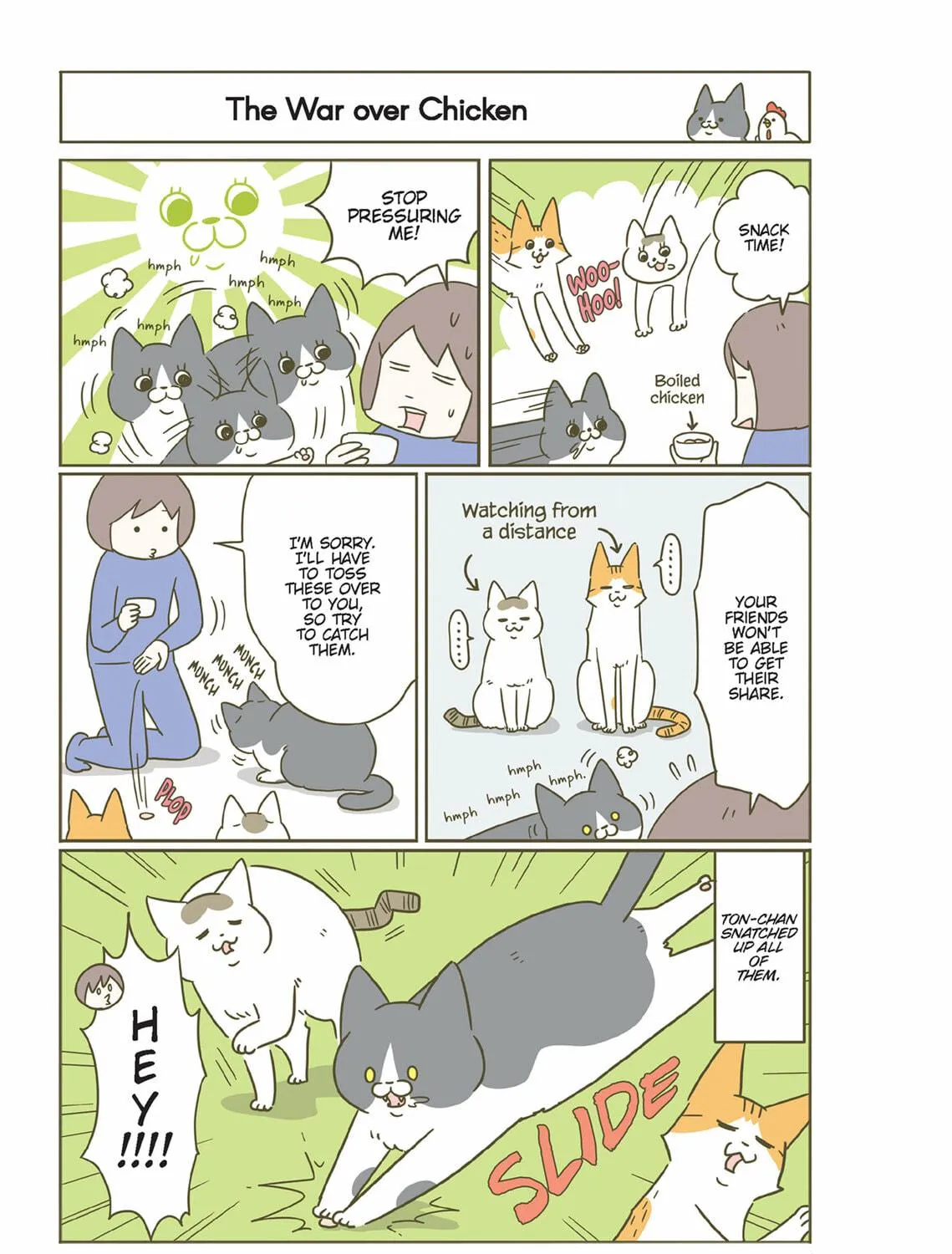 My Cat is Such a Weirdo Chapter 43 page 9 - 