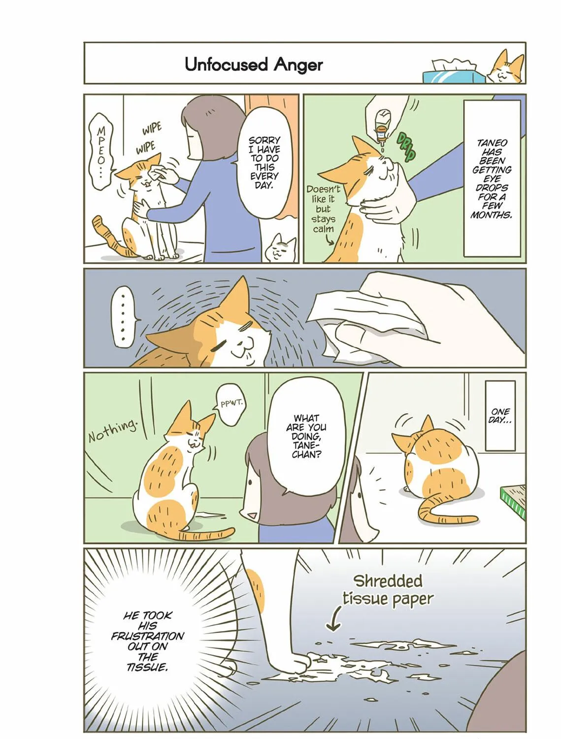 My Cat is Such a Weirdo Chapter 44 page 11 - 