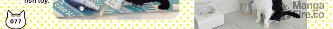My Cat is Such a Weirdo Chapter 44 page 18 - 