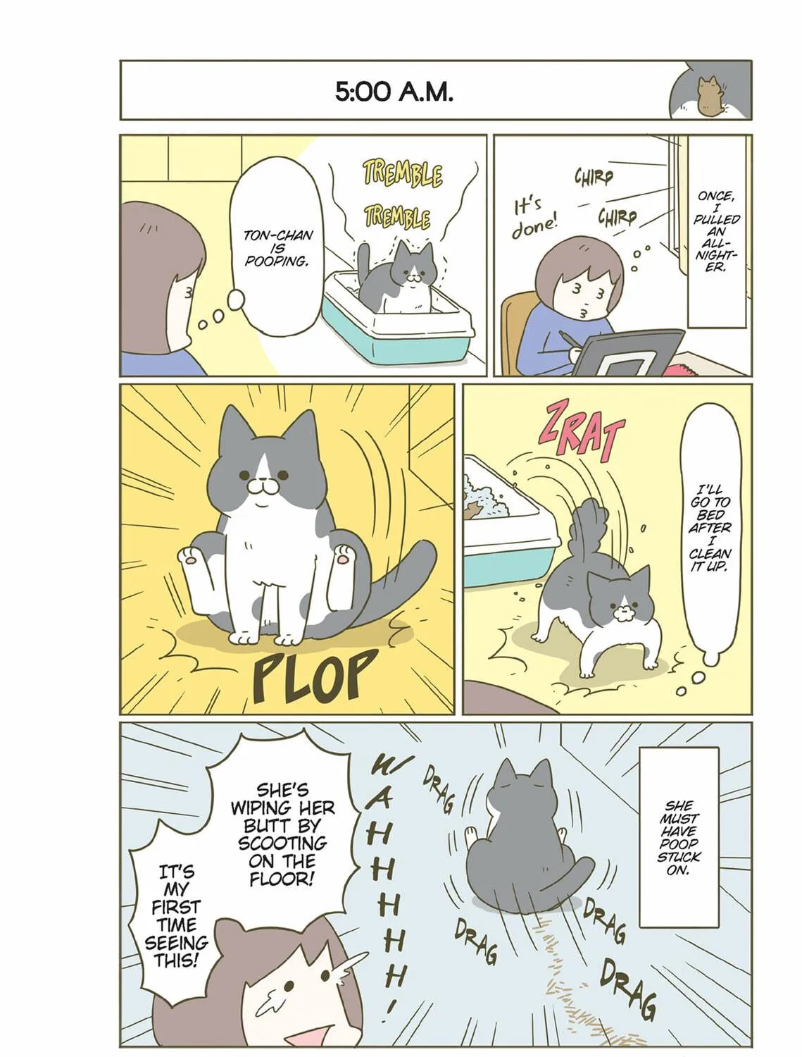 My Cat is Such a Weirdo Chapter 44 page 19 - 