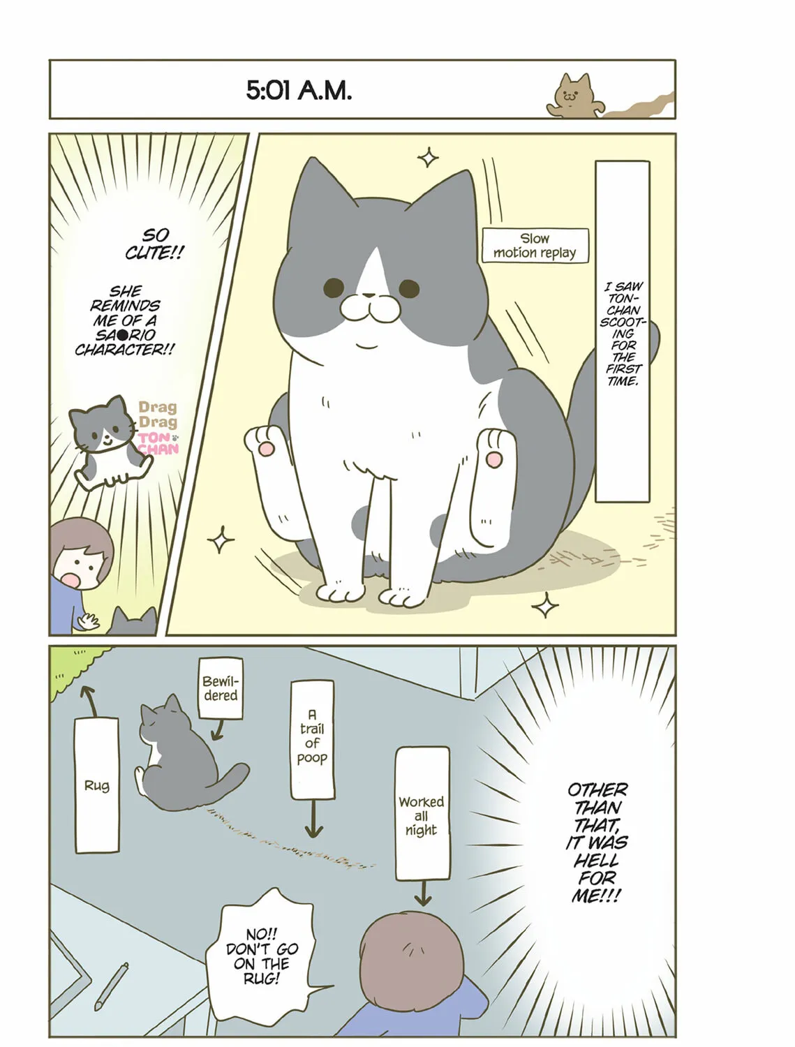 My Cat is Such a Weirdo Chapter 44 page 21 - 