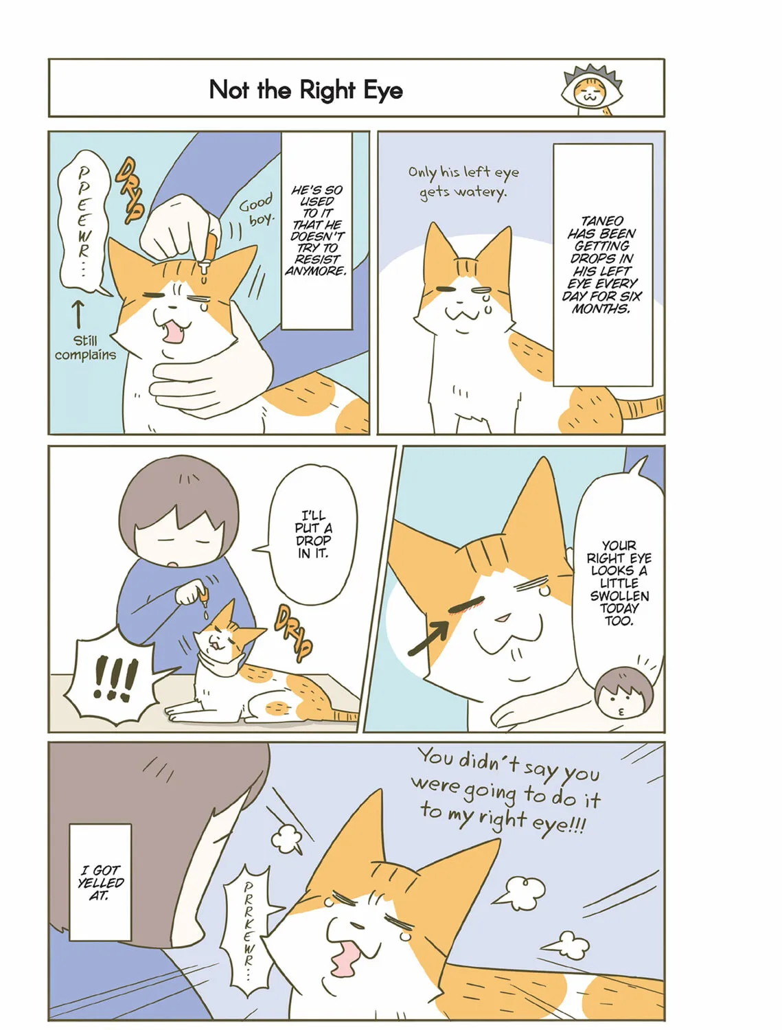My Cat is Such a Weirdo Chapter 44 page 25 - 