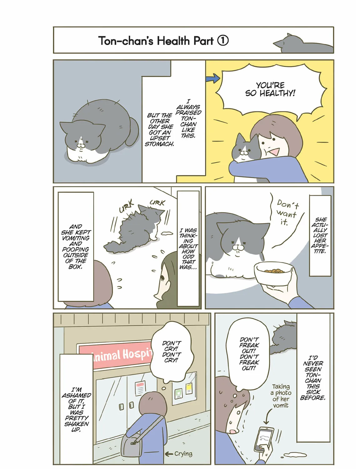 My Cat is Such a Weirdo Chapter 44 page 27 - 