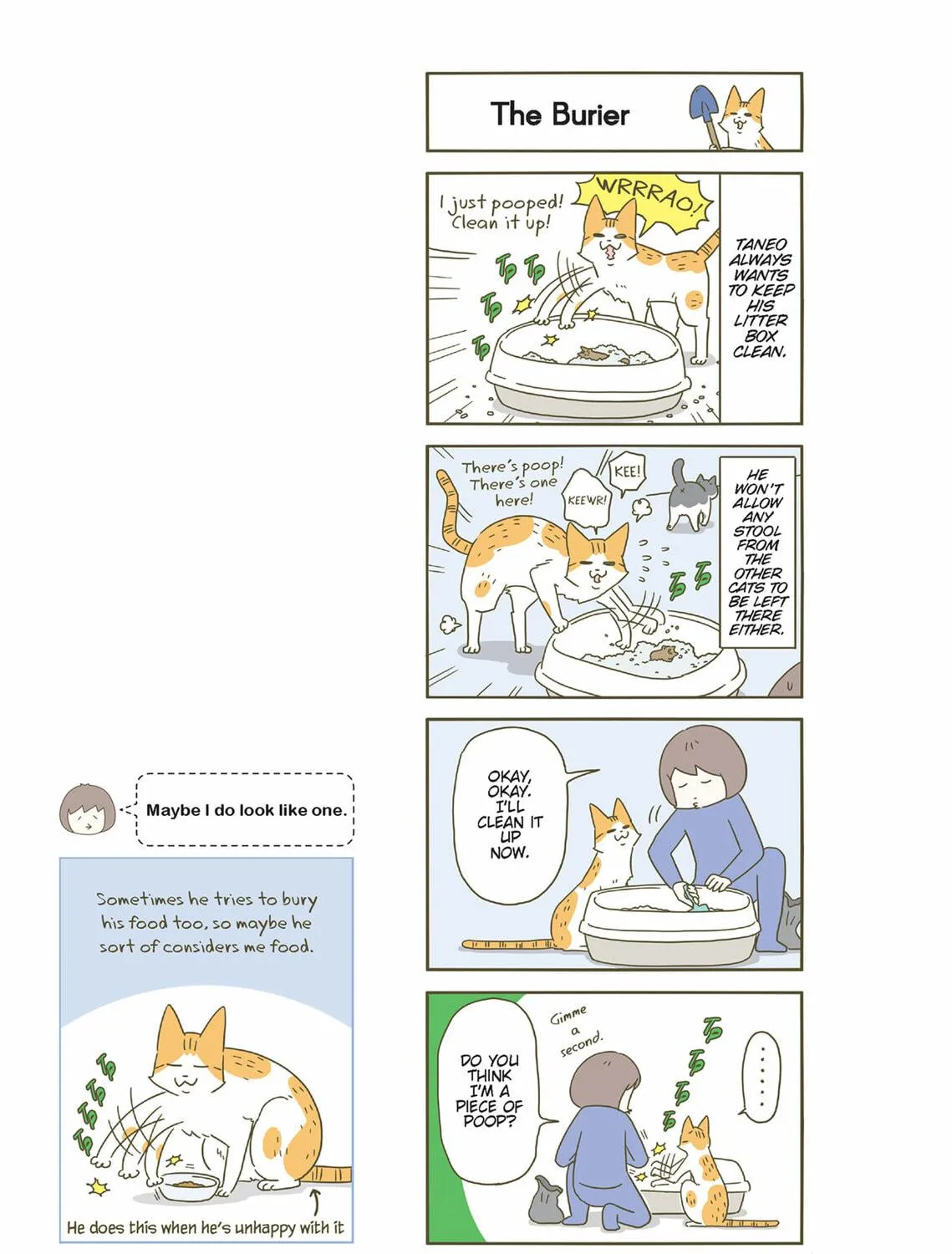 My Cat is Such a Weirdo Chapter 44 page 5 - 