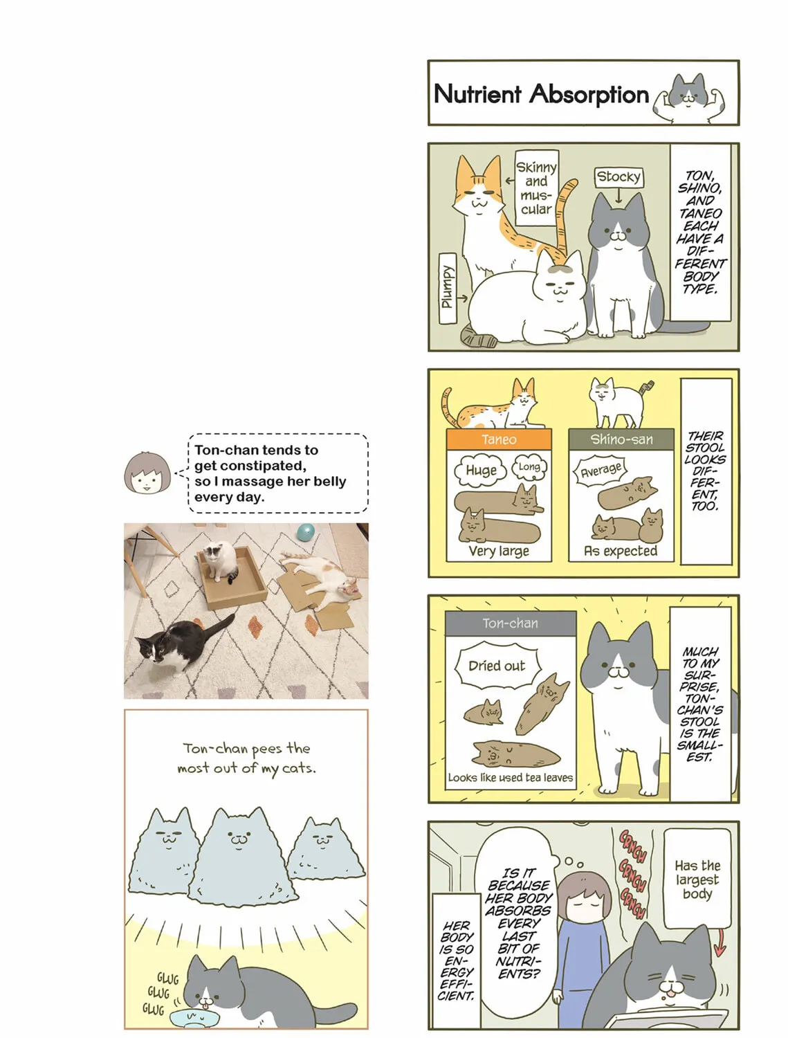 My Cat is Such a Weirdo Chapter 44 page 7 - 