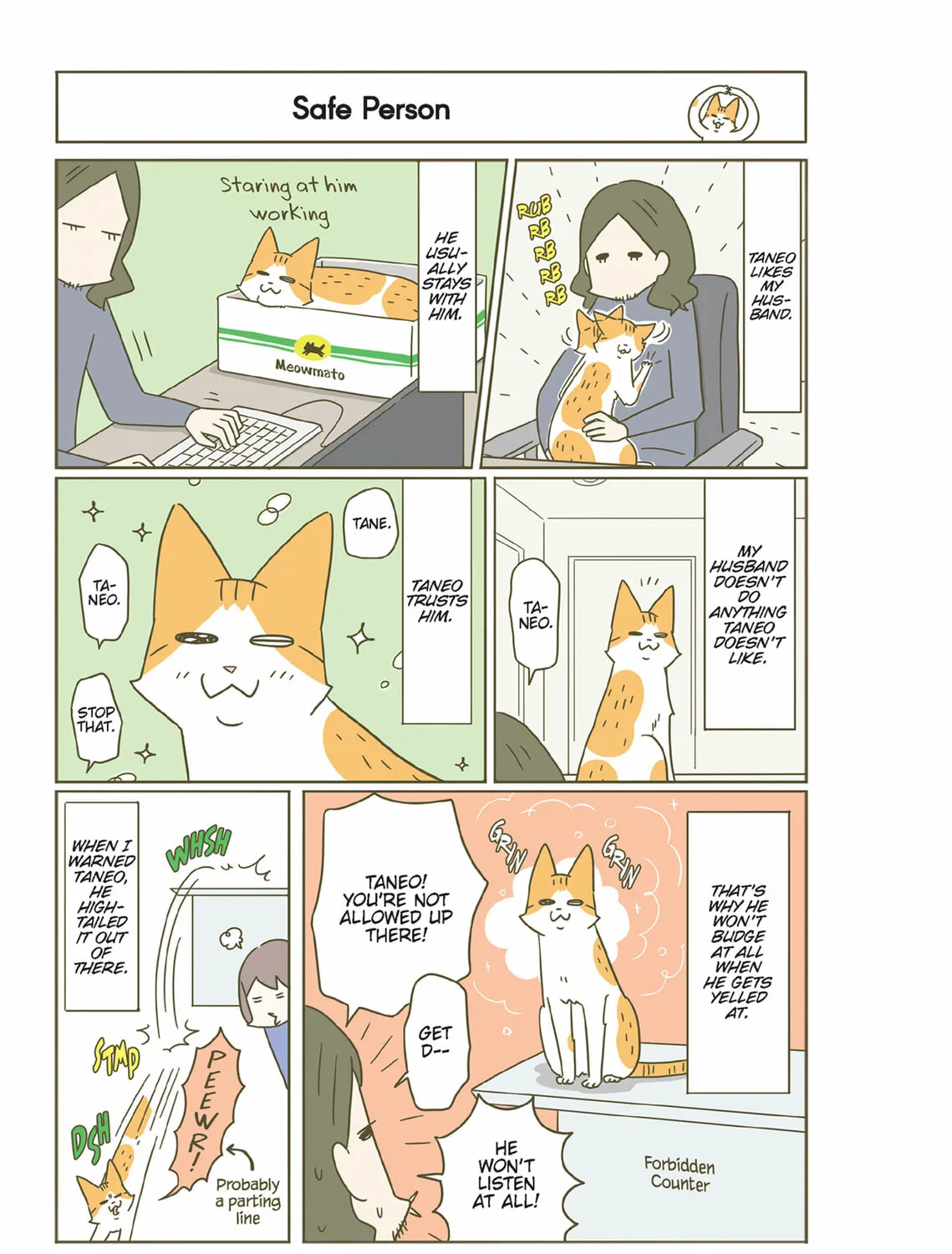 My Cat is Such a Weirdo Chapter 45 page 13 - 