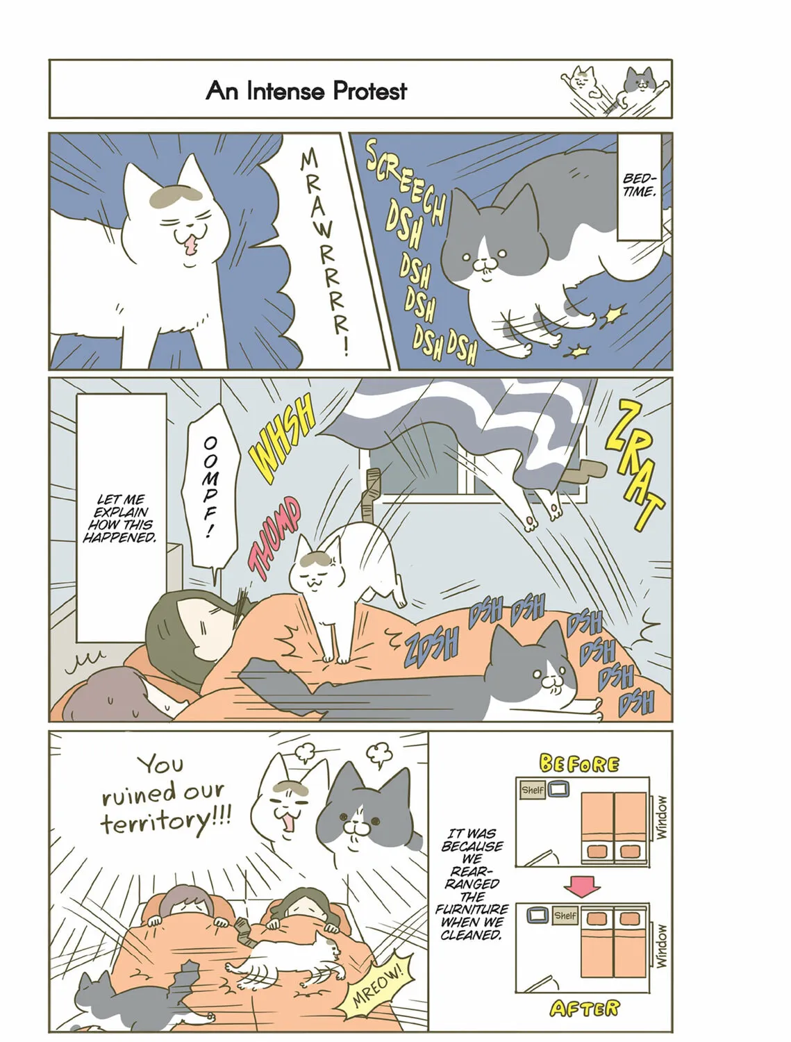 My Cat is Such a Weirdo Chapter 45 page 21 - 