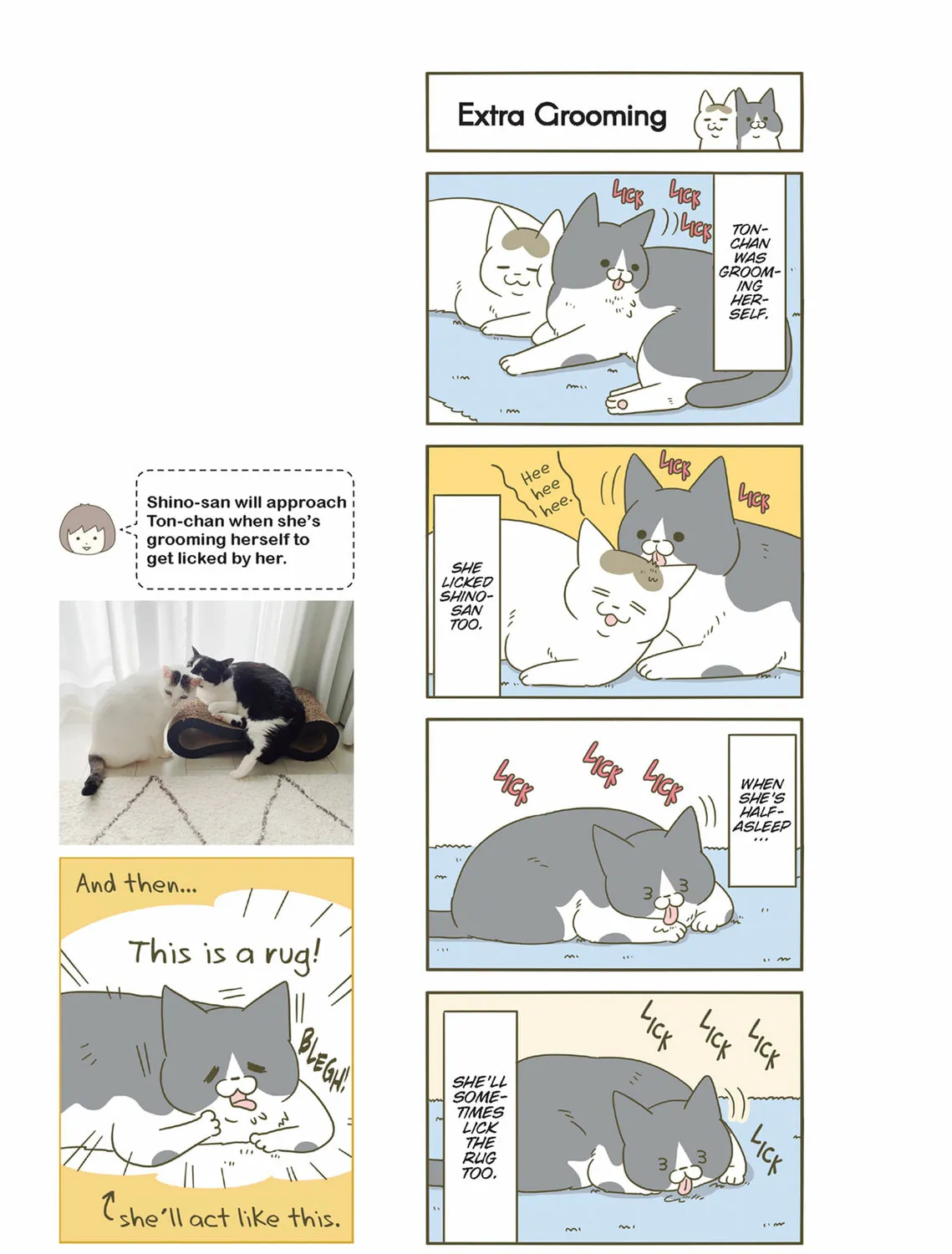 My Cat is Such a Weirdo Chapter 45 page 25 - 