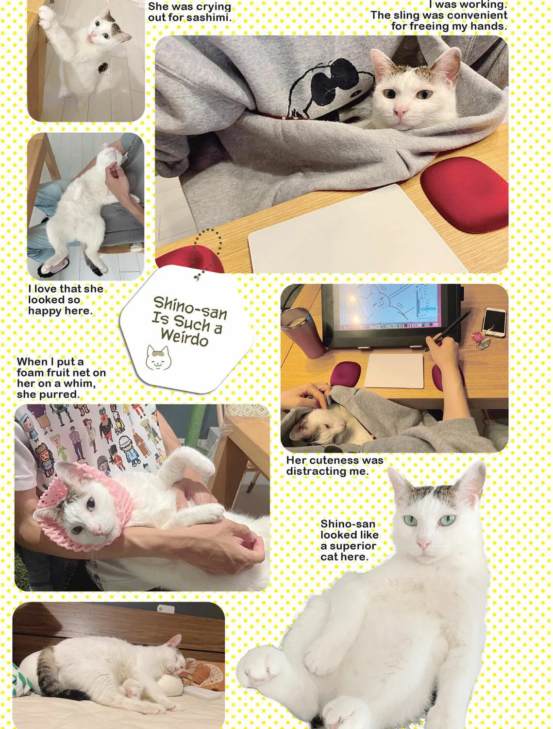 My Cat is Such a Weirdo Chapter 45 page 29 - 