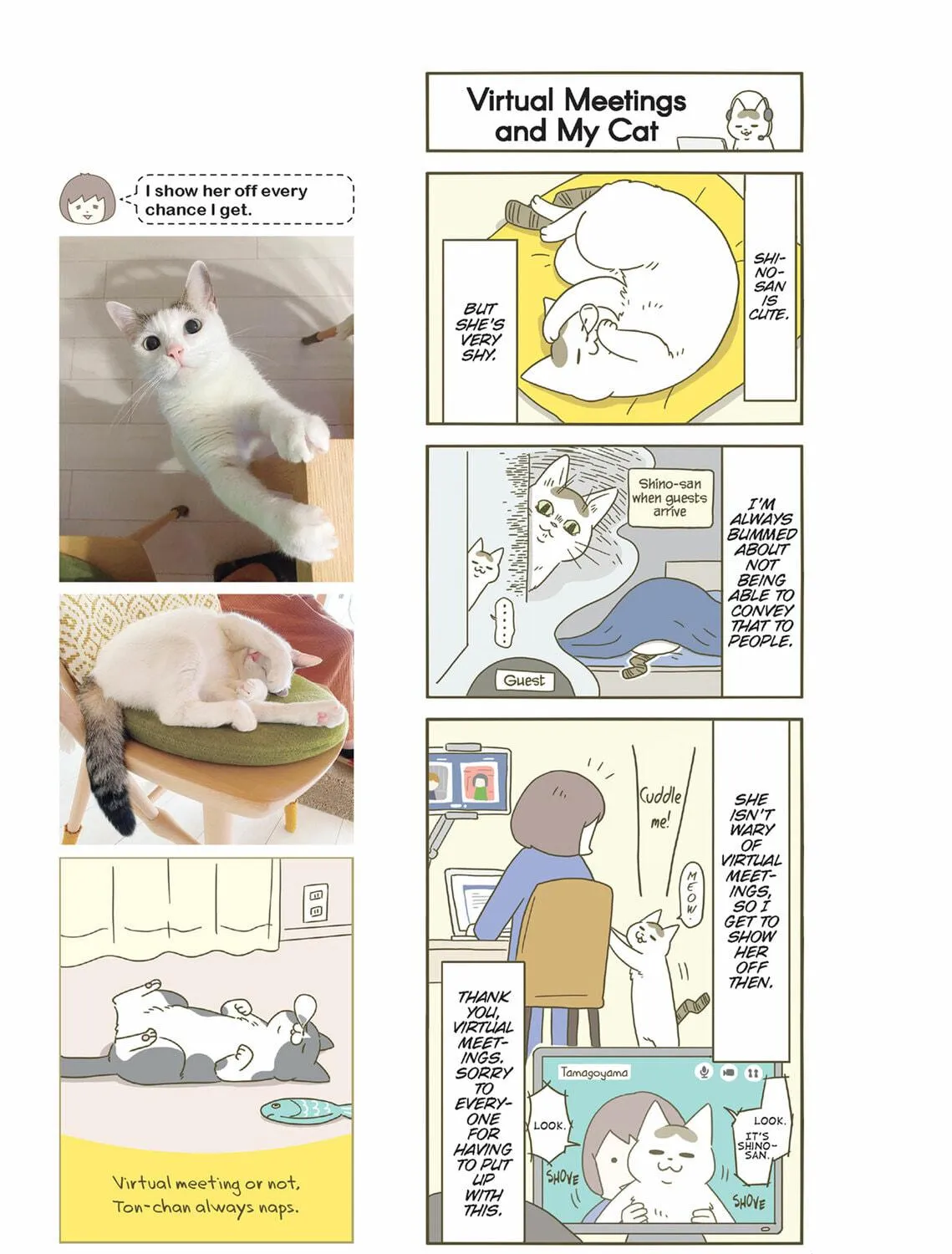 My Cat is Such a Weirdo Chapter 45 page 5 - 