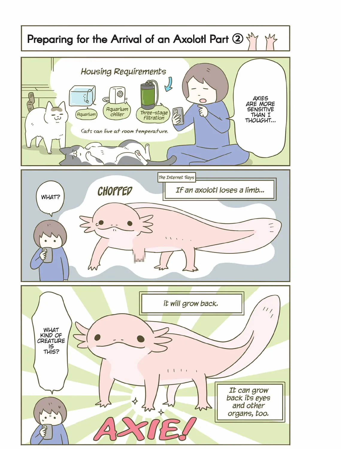 My Cat is Such a Weirdo Chapter 46 page 13 - 