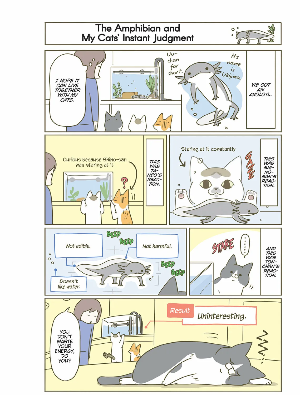 My Cat is Such a Weirdo Chapter 46 page 15 - 