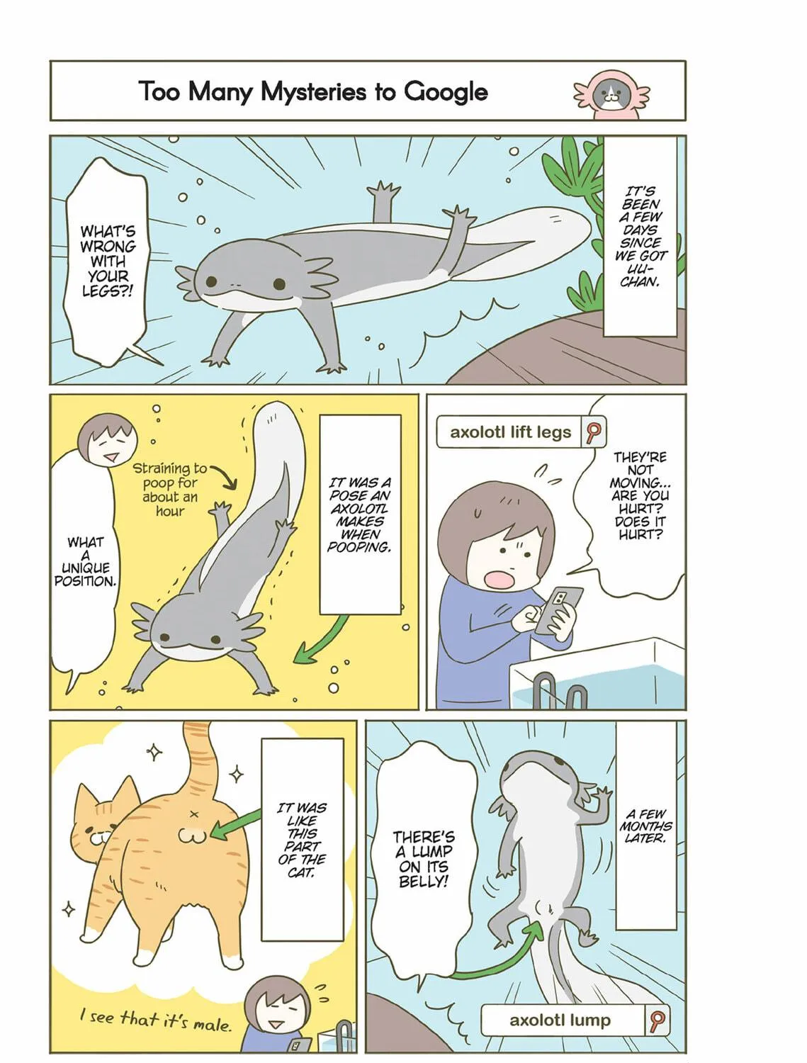 My Cat is Such a Weirdo Chapter 46 page 17 - 
