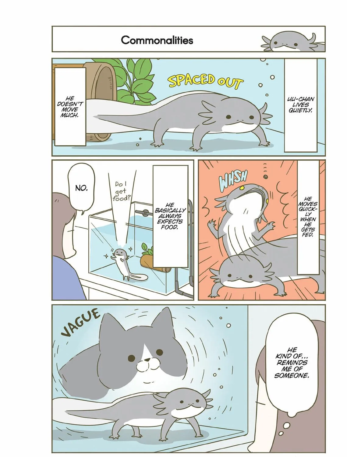 My Cat is Such a Weirdo Chapter 46 page 19 - 